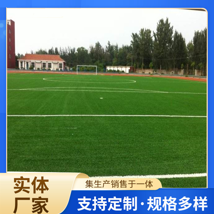 长春市橡胶跑道人造草坪 - 价格